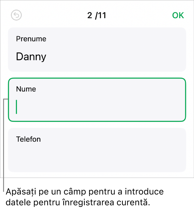 O înregistrare dintr-un formular afișând un câmp activ cu un punct de inserare.
