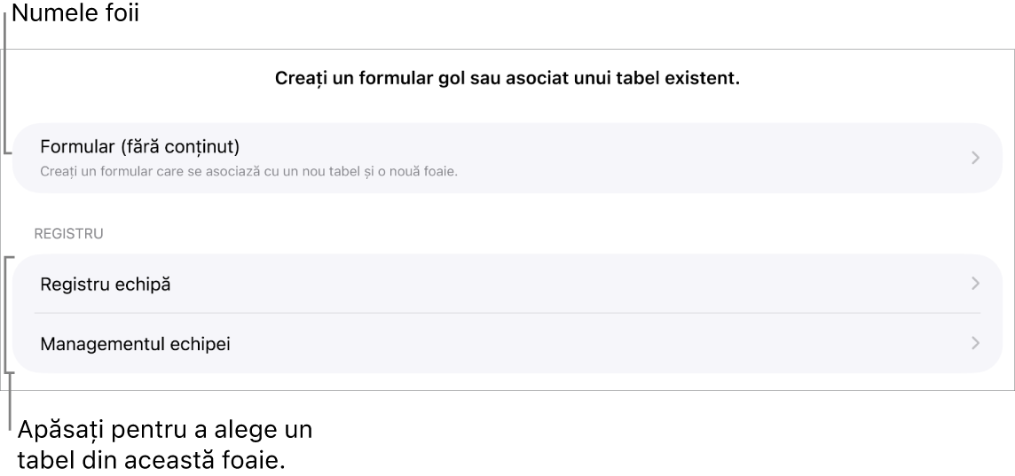 O listă de tabele care sunt în aceeași foaie de calcul, având sus opțiunea de a crea un formular gol.