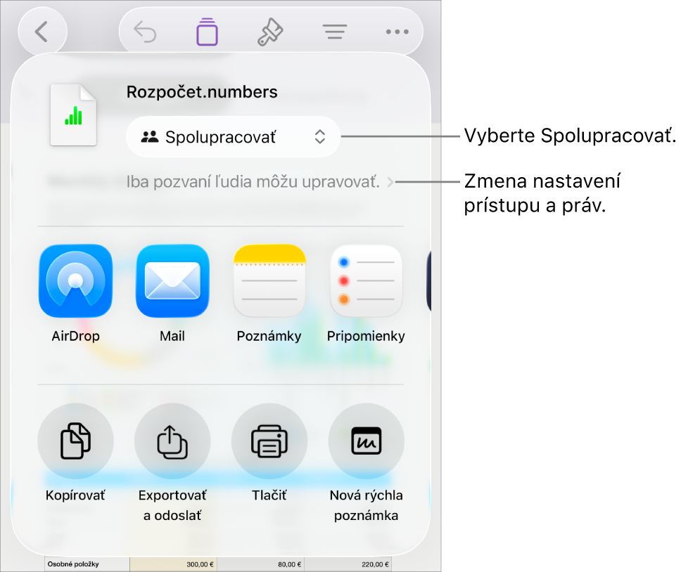 Menu Zdieľať s vybranou možnosťou Spolupracovať navrchu a pod ňou sa nachádzajú nastavenia prístupu a povolení.