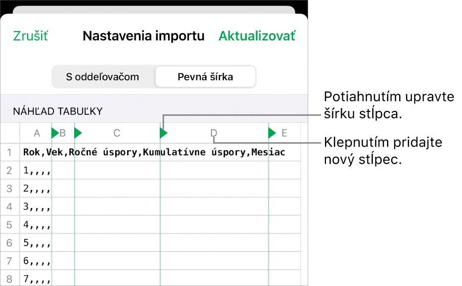 Nastavenia importu pre textový súbor s fixnou šírkou.