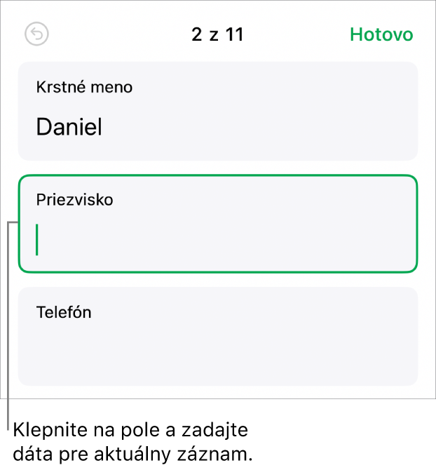 Záznam vo formulári zobrazujúci aktívne pole s kurzorom.