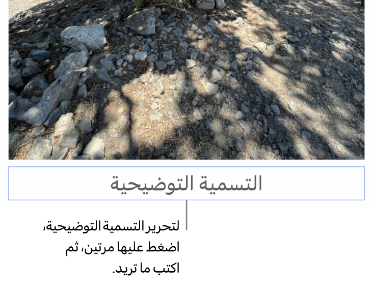 تظهر التسمية التوضيحية للعنصر النائب، "التسمية التوضيحية"، أسفل صورة؛ يوضح تخطيط أزرق حول حقل التسمية التوضيحية أنه محدد.