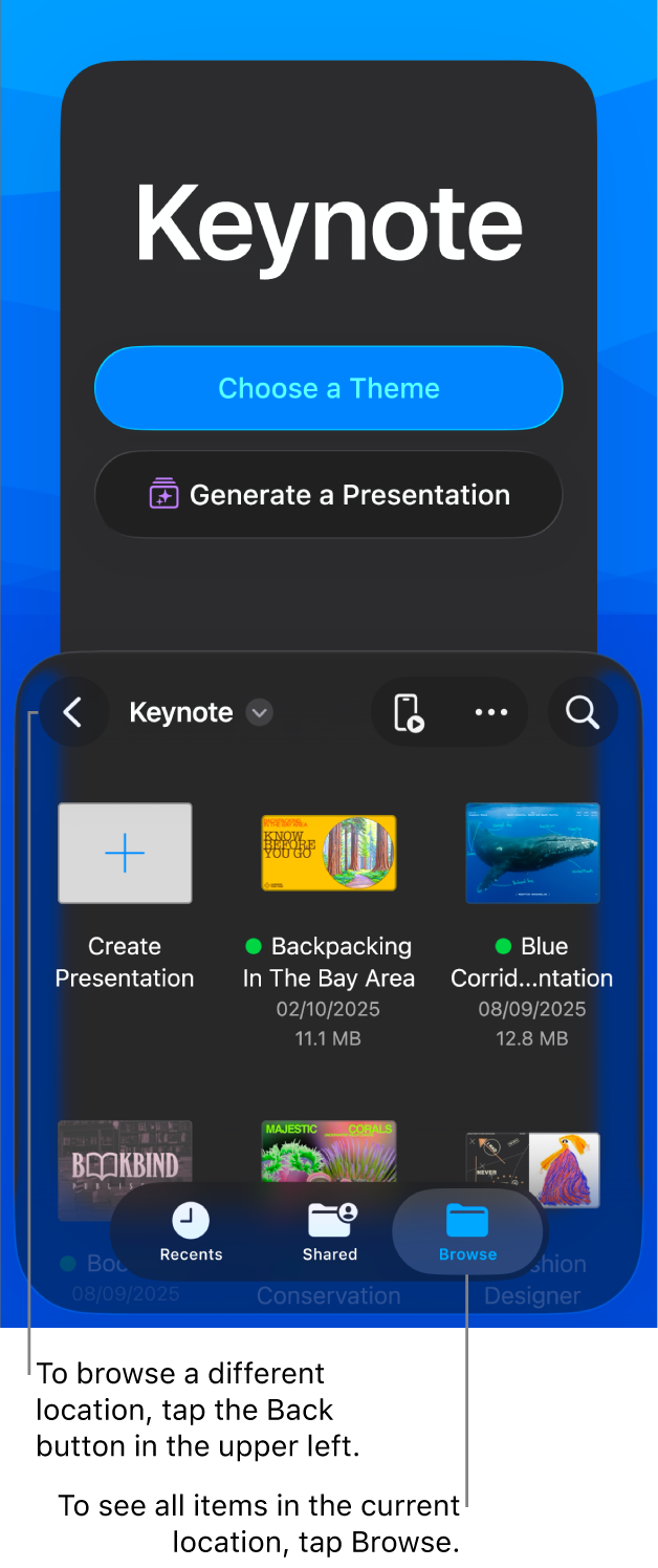 The document manager with buttons to choose a theme and start a presentation from an outline in the top half of the screen, and the document browser with shared presentation in the bottom.