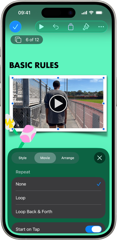 The Format controls for changing the size and appearance of the selected video. Style, Film and Arrange buttons are across the top of the controls.