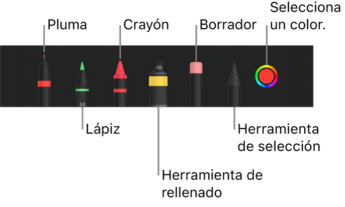 La barra de herramientas de dibujo con bolígrafo, lápiz, crayón, herramienta de rellenado, goma de borrar, herramienta de selección y la paleta de colores mostrando el color actual.