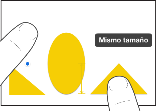 Un dedo justo encima de una figura y otro dedo manteniendo pulsado un objeto con las palabras “Mismo tamaño” en la pantalla.