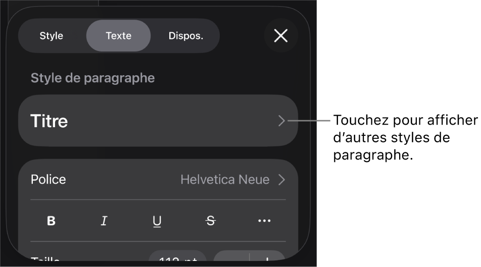 Menu Format avec commandes de texte permettant de définir les styles, la police, la taille et la couleur des paragraphes et des caractères.