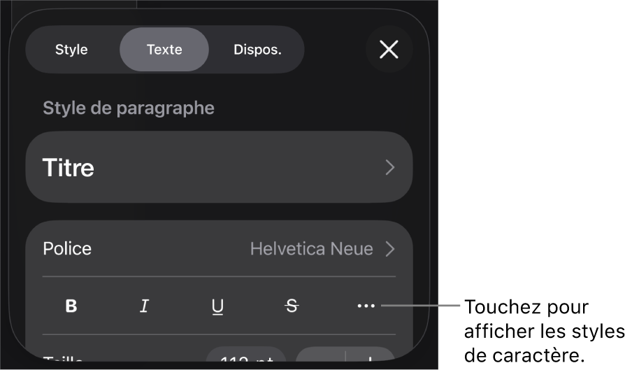 Les commandes de Format avec les styles de paragraphes en haut, puis les commandes de Police. Sous Police se trouvent les boutons Gras, Italique, Souligné, Barré et Plus d’options de texte.