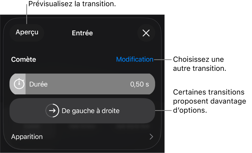 Commandes de la sous-fenêtre Options permettant de modifier une transition.
