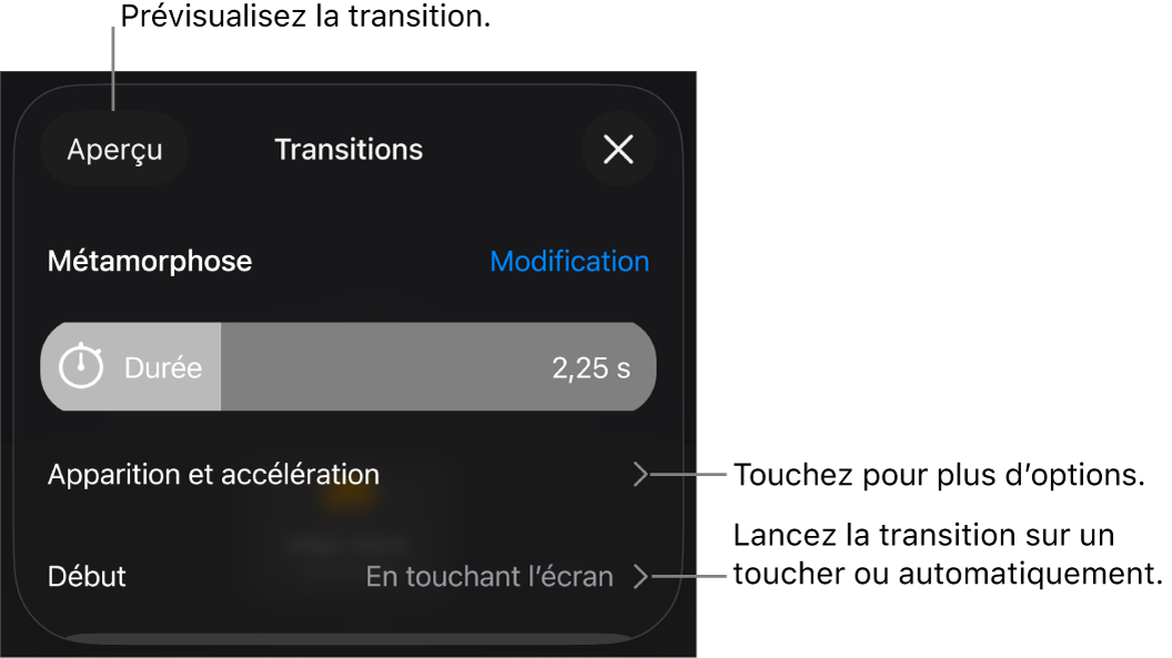 Commandes Métamorphose de la sous-fenêtre Transitions.