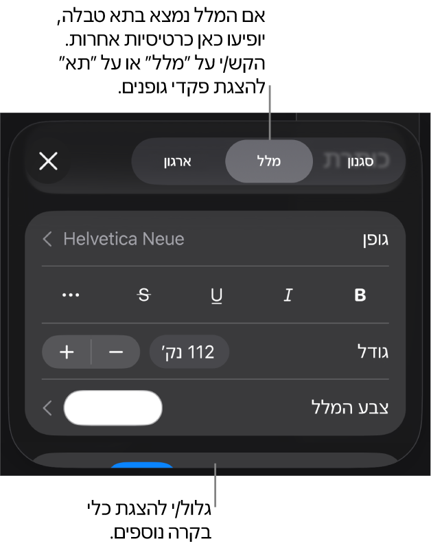 כלי בקרה של מלל בתפריט ״עיצוב״ להגדרת סגנונות, גופן, גודל וצבע עבור פיסקאות ותווים.