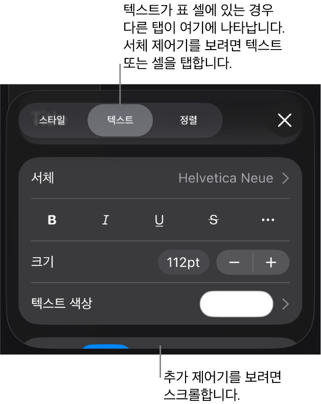 포맷 메뉴에 있는 단락, 문자 스타일, 서체, 크기 및 색상을 설정할 수 있는 텍스트 제어기.