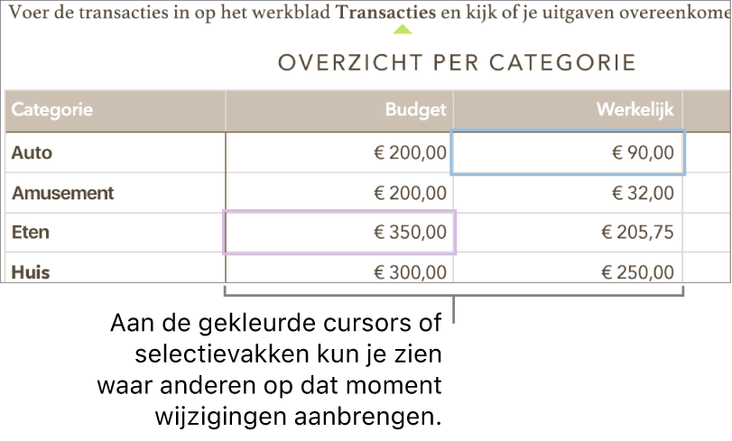 Cursors of selecties in verschillende kleuren geven aan waar anderen wijzigingen aanbrengen.