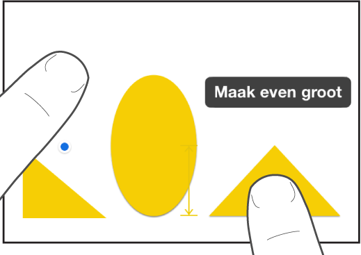 Eén vinger net boven een vorm en een andere vinger op een object met de optie 'Maak even groot' op het scherm.