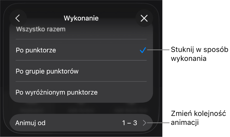 Opcje wykonania w panelu Wejście.