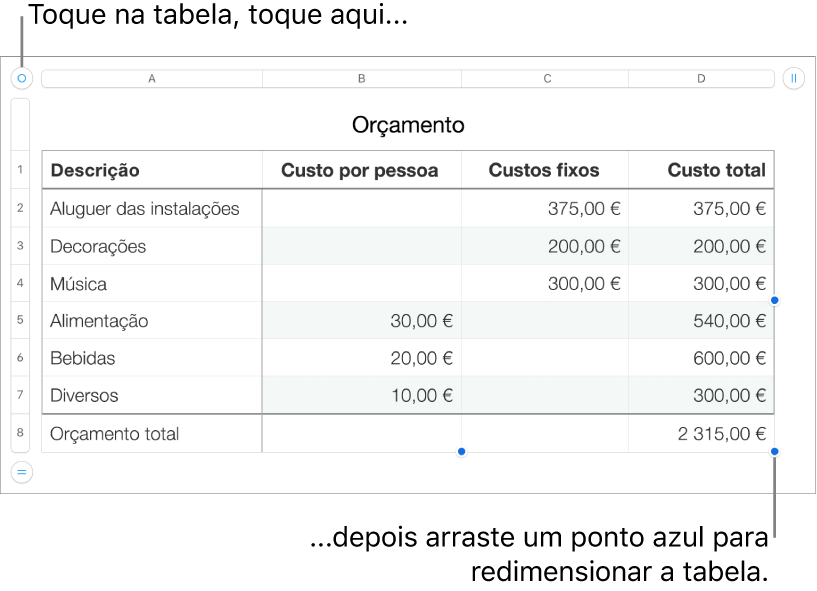 Uma tabela selecionada, com os pontos azuis para redimensionamento.