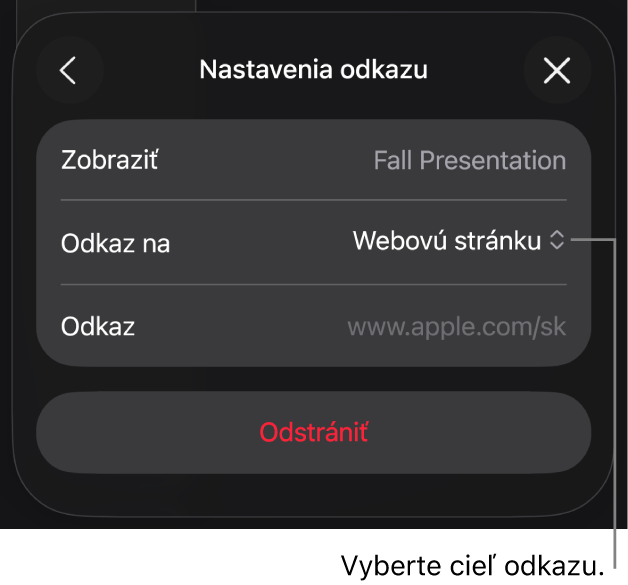 Ovládacie prvky nastavení odkazov s vybranou položkou Webová stránka a tlačidlom Odstrániť v dolnej časti.