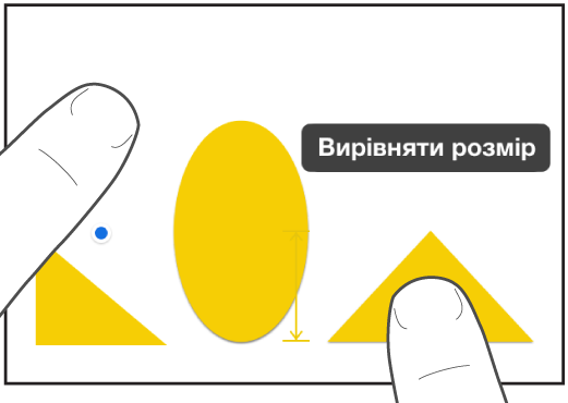 Тримайте один палець над фігурою, а іншим утримуйте обʼєкт за допомогою елемента «Вирівняти розмір» на екрані.