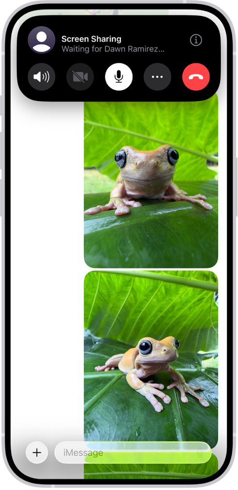 A pending request to share a screen in Messages.