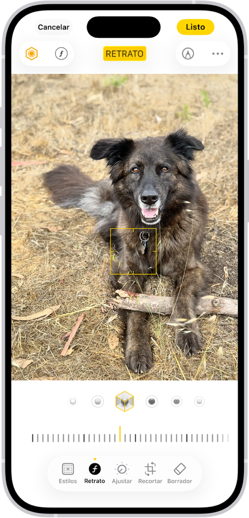 La pantalla de edición de la app Fotos con un retrato en el centro. Debajo de la foto están las opciones de iluminación de retratos. La opción Luz de estudio está seleccionada. Debajo hay un regulador para ajustar el nivel del efecto. En la parte inferior de la pantalla, de izquierda a derecha, se encuentran los botones Retrato, Ajustar, Filtros y Recortar. Se selecciona el botón Retrato.