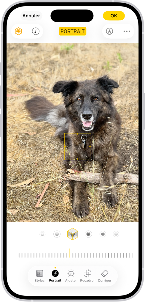 L’écran Modifier de l’app Photos avec un portrait au centre de l’écran. Sous la photo figurent les options d’éclairage de portrait. L’option « Éclairage de studio » est sélectionnée. En dessous, un curseur permet de régler le niveau de l’effet. En bas de l’écran, de gauche à droite, se trouvent les boutons Portrait, Ajuster, Filtres et Recadrer. Le bouton Portrait est sélectionné.