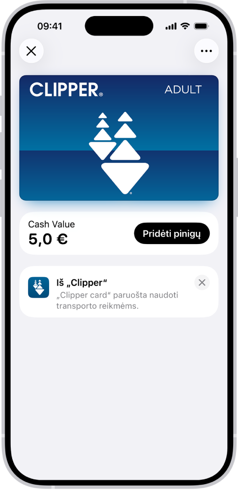 Viešojo transporto kortelė programoje „Piniginė“. Po kortele yra likutis, šalia pateiktas mygtukas „Add Money“.