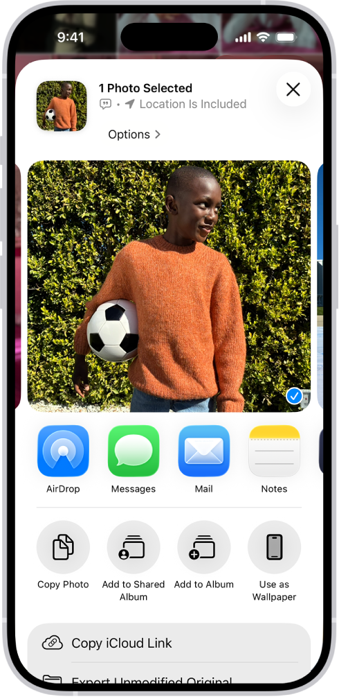 Atlasītais fotoattēls ir redzams iPhone ekrāna augšējā daļā, un zem tā ir kopīgošanas opciju rinda: Tālāk ir redzamas papildu opcijas, tostarp Copy Photo, Add to Shared Album, Add to Album un Use as Wallpaper.