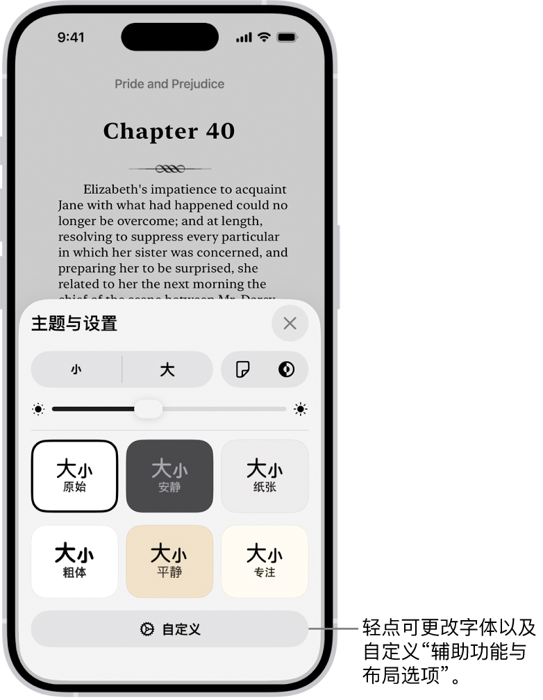 “图书” App 中的图书页面。“主题与设置”选项显示字体大小、滚动视图、翻页样式、亮度和字体样式的控制。
