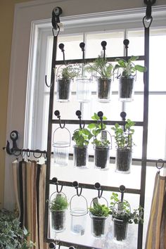 a window sill filled with potted plants