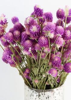 purple flowers are in a silver vase on a table