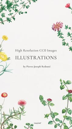 an illustrated book with flowers and leaves on the cover, which reads high resolution co images illustrations