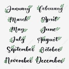 months of the year handwritten font with green leaves on white background, lettering, calligraphy png and psd