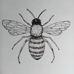 a black and white drawing of a bee