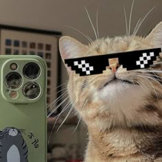 a cat wearing sunglasses next to an iphone with a pixelated image on it's face