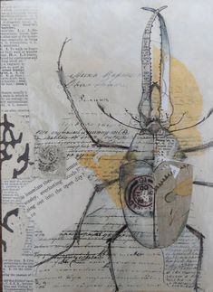 an altered photograph of a bug with writing on it