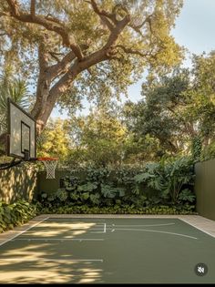 an outdoor basketball court surrounded by trees and bushes