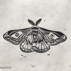 a black and white drawing of a moth