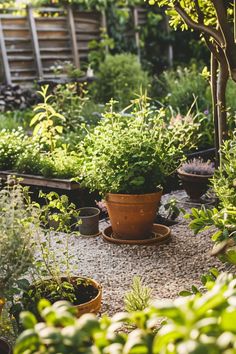 a garden filled with lots of different types of plants