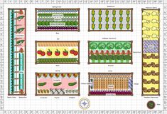 the garden layout is shown with different types of plants and vegetables in each section, including tomatoes