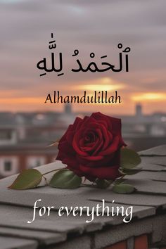 a red rose sitting on top of a roof with the words for everything written in arabic