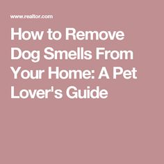 the text how to remove dog smells from your home a pet lover's guide