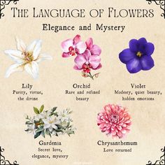 the language of flowers is shown in this image, and it's different colors