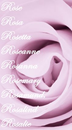 the words are written in white on a pink rose