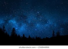 the night sky with stars and trees silhouetted against dark blue skies filled with stars