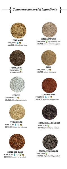 an image of different types of grains and their names in english, spanish, and french