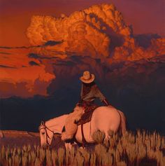a man riding on the back of a white horse in a field under a cloudy sky