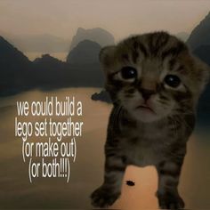 Silly Cat Couple, Matching Quotes, Mia 3, Love My Boyfriend, Imagenes De Amor, I Love My Girlfriend, Love My Husband, I Love My Wife