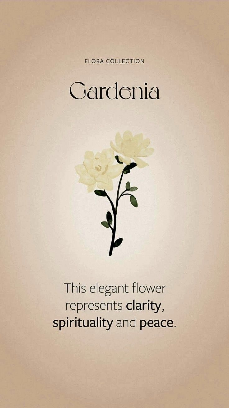 an advertisement with flowers on it for the gardenia flower represents charity, spiritfully and peace