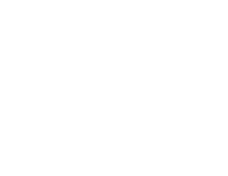 Government Services Government Services