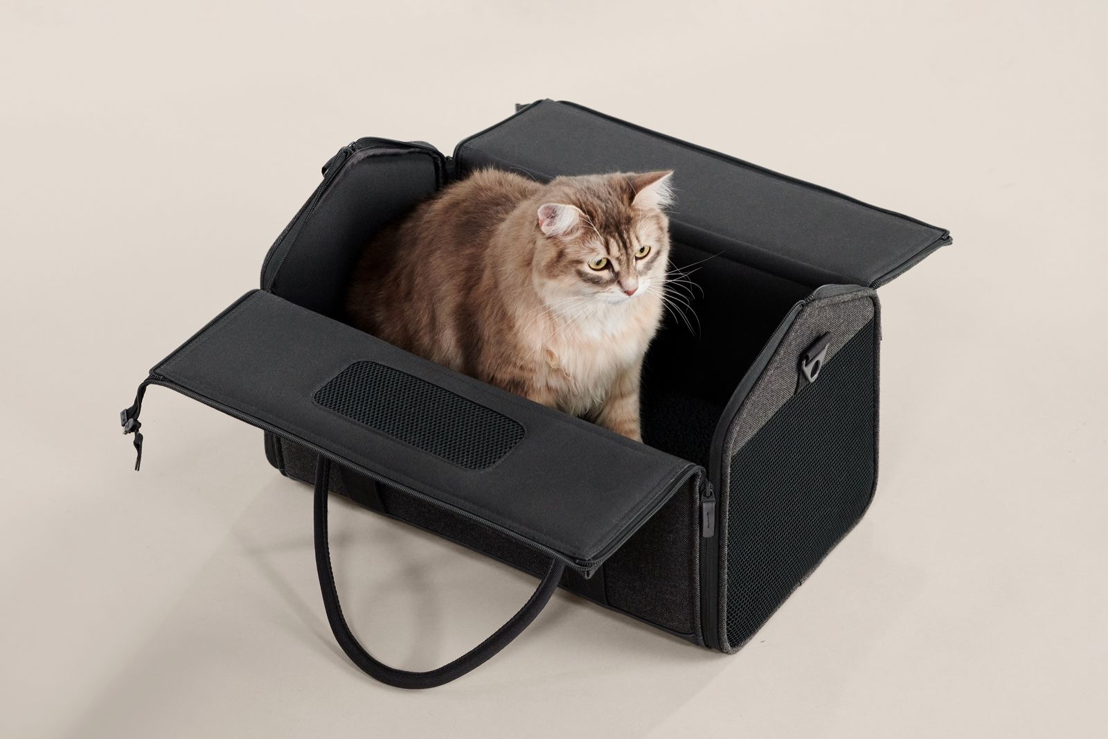 Cat inside the Tuft and Paw Porto Cat Carrier